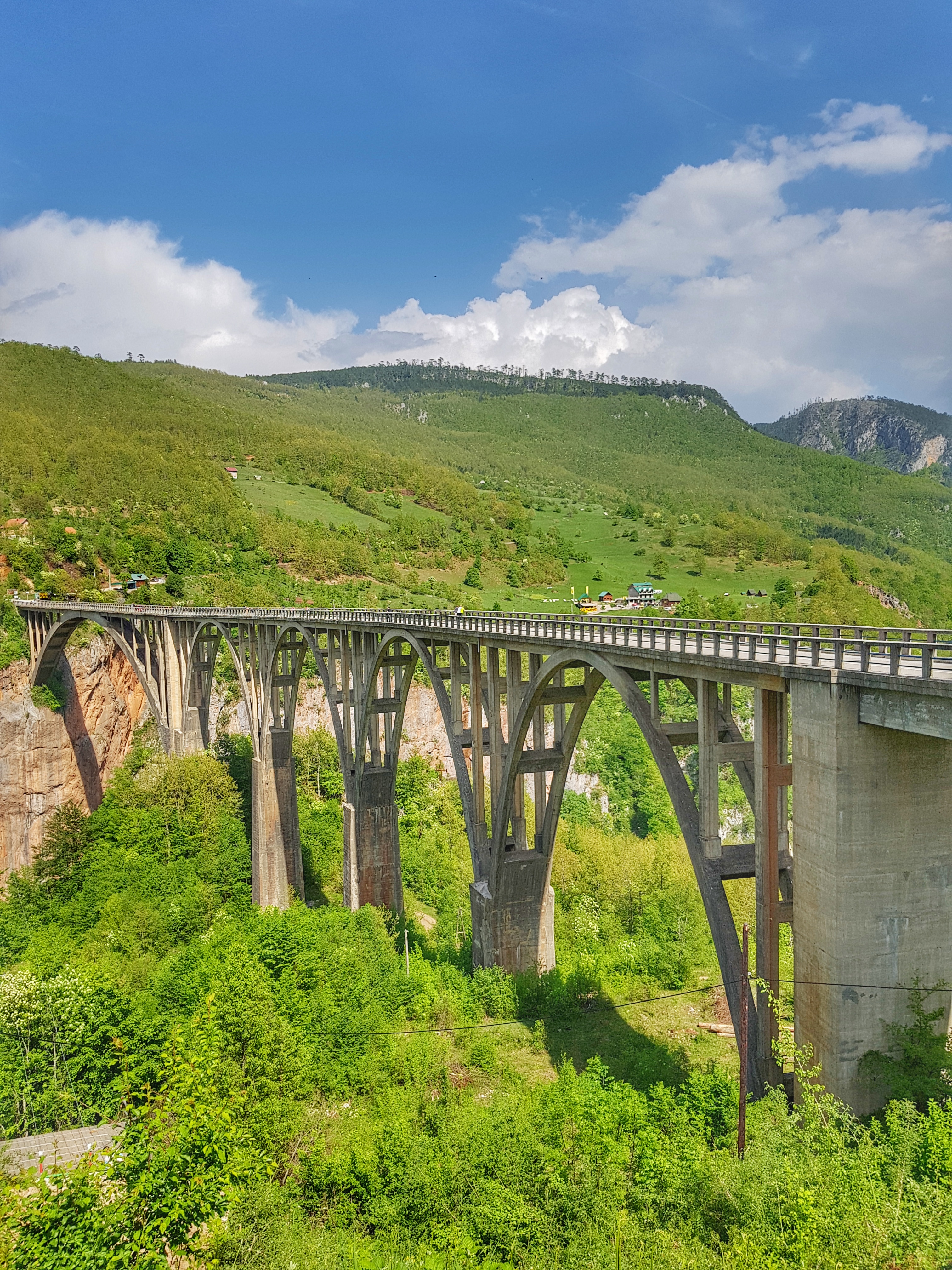 Most na Đurđevića Tari