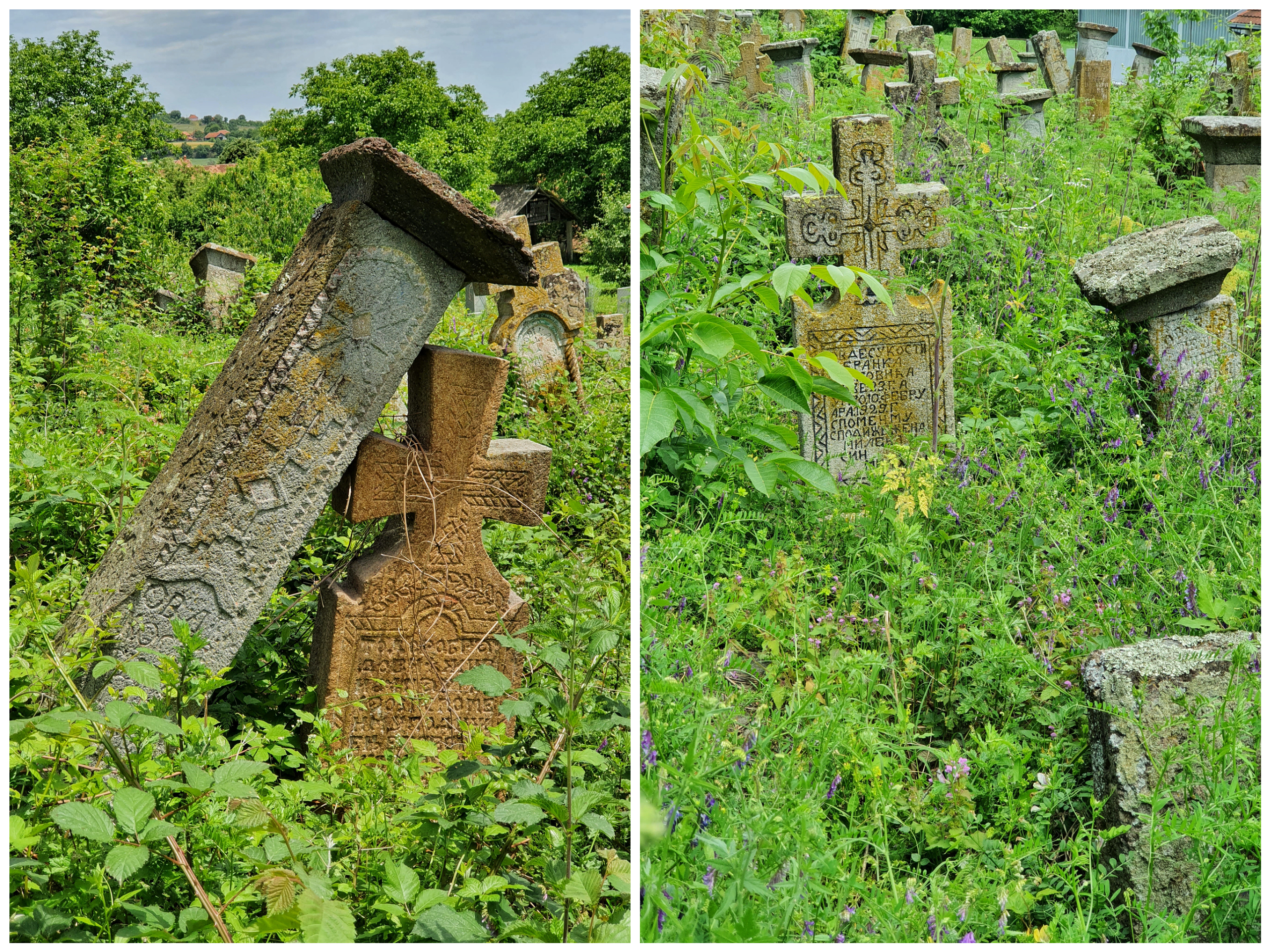 Staro groblje u selu Borač