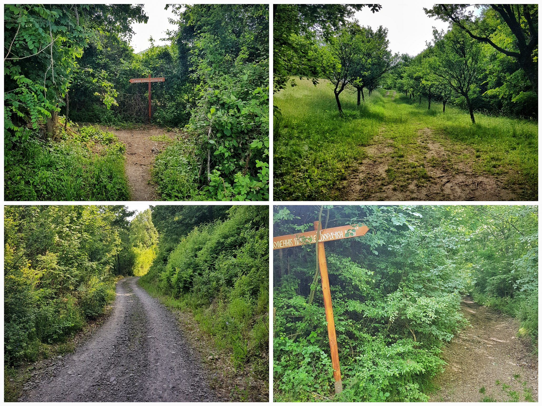 Borački krš - staza i putokazi ka usponu