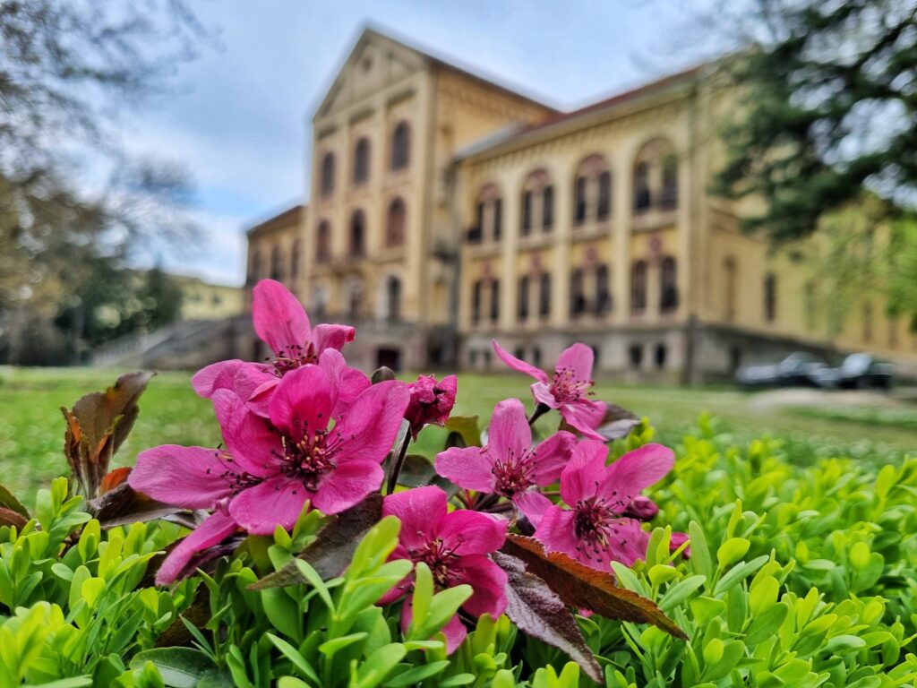 Aranđelovac - Staro zdanje